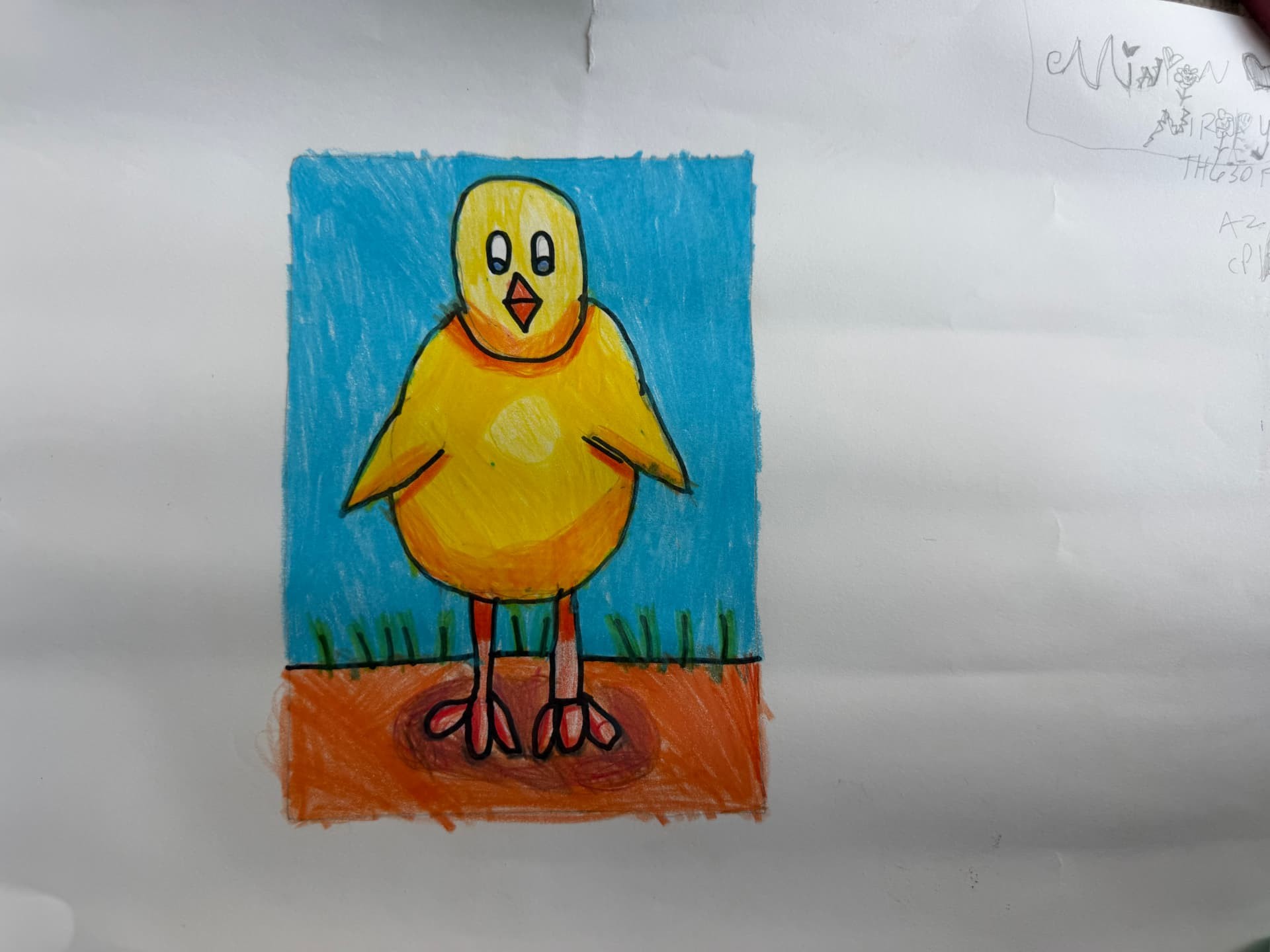 Sunny Chick